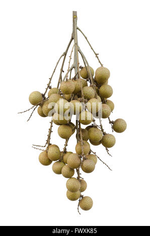 Frutta Longan isolato su sfondo bianco Foto Stock