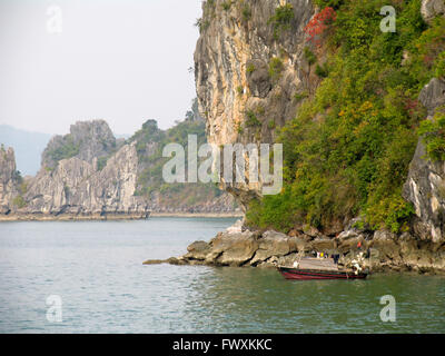 Un pescatore tradizionale la pesca da un legno barca a remi in Halong Bay, Vietnam. Foto Stock