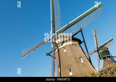 Mulino a vento olandese e il mulino a vento in miniatura vicino Zevenhuizen nella provincia di South Holland, Paesi Bassi Foto Stock