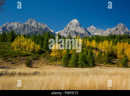 WYOMING - Il Grand Teton che domina il Teton Range da vicino al lago Taggart Sentiero nel Parco Nazionale di Grand Teton. Foto Stock