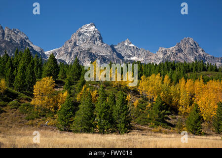 WYOMING - Il Grand Teton che domina il Teton Range da vicino al lago Taggart Sentiero nel Parco Nazionale di Grand Teton. Foto Stock