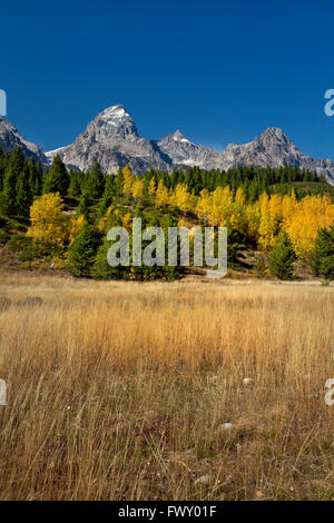 WYOMING - Il Grand Teton che domina il Teton Range da vicino al lago Taggart Sentiero nel Parco Nazionale di Grand Teton. Foto Stock