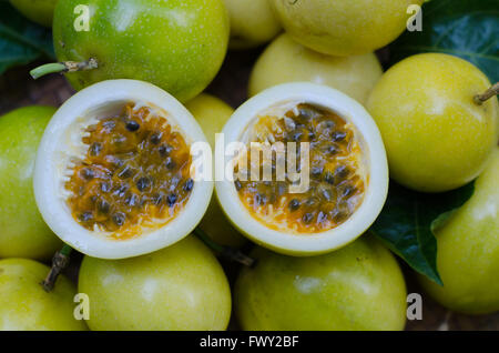 Frutti della passione Foto Stock