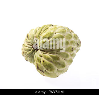 Lo zucchero di Apple (anone, Annona, sweetsop) su sfondo bianco Foto Stock