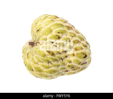 Lo zucchero di Apple (anone, Annona, sweetsop) su sfondo bianco Foto Stock