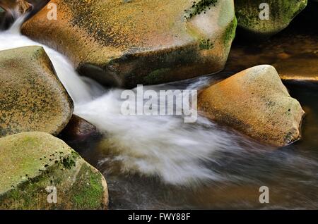 Dettaglio della piccola cascata sulla pietra di muschio. Foto Stock