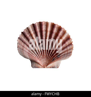 coperture di pettine Foto Stock