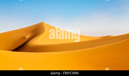 Dune del Sahara in Marocco, Erg Chigaga Foto Stock