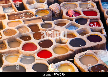 La conceria in pelle in Fez Marocco Foto Stock