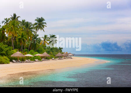 Sulla spiaggia di Gaffu Alif Atoll, Maldive Foto Stock