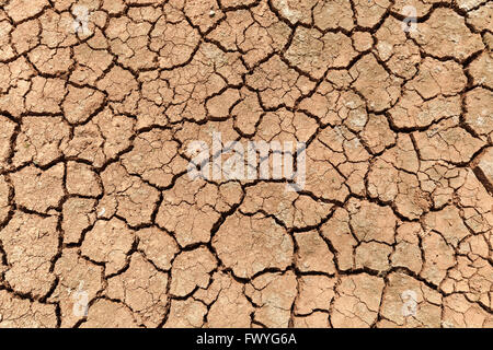 La terra secca, secco fratture del terreno, essiccato superficie di argilla, Fuerteventura, Isole Canarie, Spagna Foto Stock