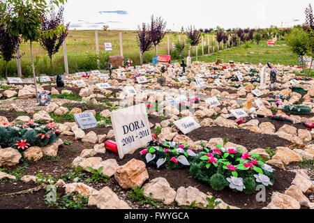 Hunedoara, Romania - 21 Giugno 2014: vista di un cimitero Pet nella città di Hunedoara, Transilvania, Romania Foto Stock