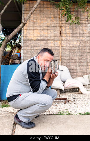 Hunedoara, Romania - 21 Giugno 2014: dai capelli scuri uomo con i baffi con attualmente gattino grigio in Hunedoara su Giugno 21, 2014 Foto Stock