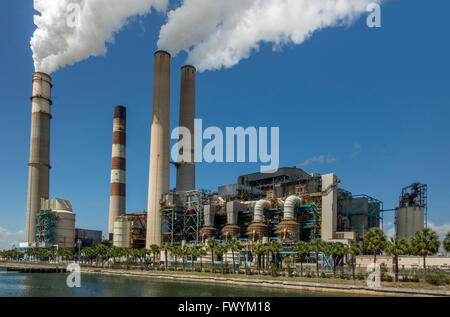 Tampa Electric Big Bend Power Station Home della Florida Manatee Centro di visualizzazione vicino a Tampa Bay Florida Foto Stock