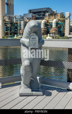 Tampa Electric Big Bend Power Station Home della Florida Manatee Centro di visualizzazione vicino a Tampa Bay Florida Foto Stock