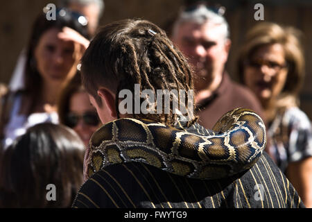 BADAJOZ, Spagna - 25 settembre: costume merchant uomo con snake partecipante al Almossasa Cultura Festival il 25 settembre 2 Foto Stock