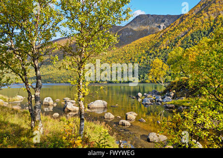 Austerfjorden vicino Revsves sull isola Hinnøya nel nord della Norvegia in una bella giornata d'autunno. Foto Stock