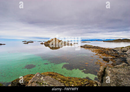 I gabbiani sono seduti sulle rocce al litorale del Nord Atlantico in Stø sull isola Langøya ( Vesterålen ) nella Norvegia del nord. Foto Stock