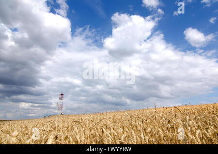 Ferro da stiro tv torre sulla collina con un campo di grano. Foto Stock