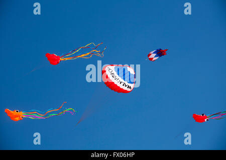 Jilin. 9 apr, 2016. Foto scattata il 9 aprile 2016 mostra aquiloni volare al di sopra Renmen piazza di Jilin, a nord-est della Cina di provincia di Jilin. © Zhu Wanchang/Xinhua/Alamy Live News Foto Stock