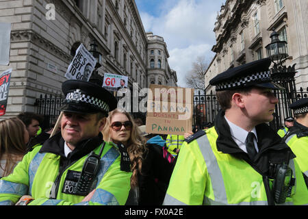 Londra, UK.09 Aprile 2016.manifestanti radunati fuori Downing Street esigente per David Cameron a silenzioso di un manifestante con uno slogan che red cosa succede in Panama non soggiornare in Panama @Paolo Quezada-Neiman/Alamy Live News Foto Stock