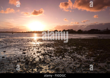 Christchurch, Dorset, Inghilterra, Regno Unito. Il 9 aprile 2016. Tramonti durante la bassa marea durante il fine settimana a Mudeford Quay, Christchurch, Dorset, Inghilterra, UK Credit: Jeff Gilbert/Alamy Live News Foto Stock