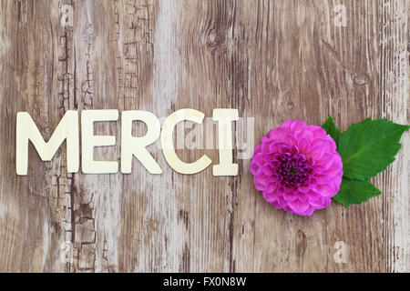 Merci (che significa grazie in francese) scritto con lettere di legno e di rosa fiori di dalia Foto Stock