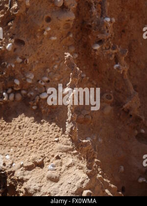 Di sabbia naturale scaltures in fuerteventura canarie-isole canarie Spagna Foto Stock