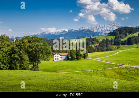 Idillico paesaggio delle Alpi con il verde dei prati e il famoso Saentis mountain top in background, Appenzellerland, Svizzera Foto Stock