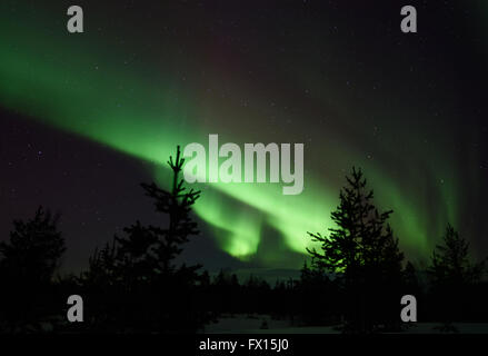 Aurora Boreale a Nellim in Finlandia Foto Stock