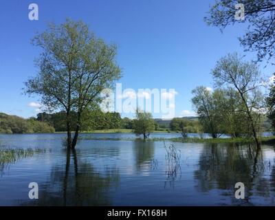 Lago di Blagdon, Somerset Foto Stock