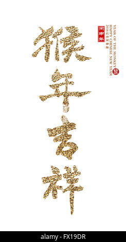 2016 Nuovo anno lunare cinese della scimmia Foto Stock