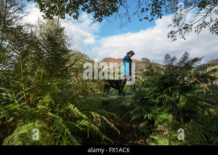 Donna cane a piedi lungo il percorso di paese Aberfoyle Scozia Scotland Foto Stock