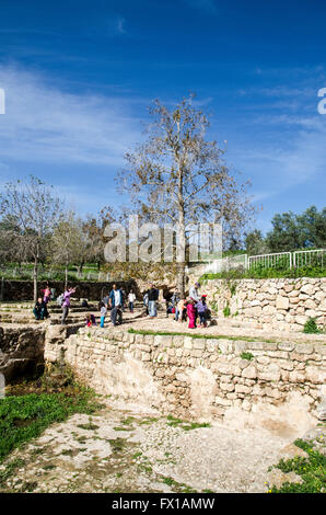 Horvat Aqav sito archeologico a Ramat Hanadiv è una natura parco e giardino che copre 4.5 km all'estremità meridionale del Monte Carmelo Foto Stock