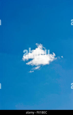 Singola bianco cumulus cloud su un blu cielo pulito Foto Stock