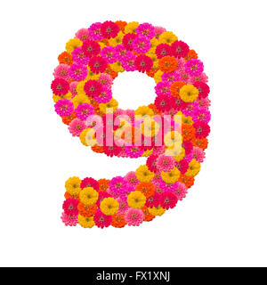 Numero 9 realizzato da fiori Zinnias Foto Stock