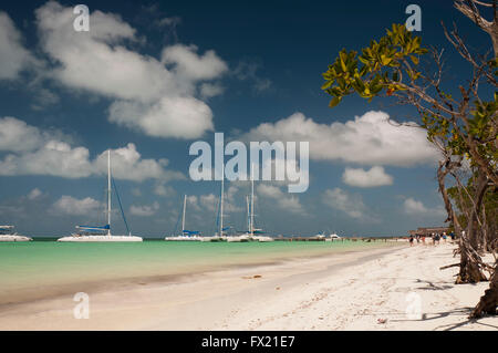 Due catamarani in caribic porto di Caraibi Cayo Blanco, Cuba Foto Stock