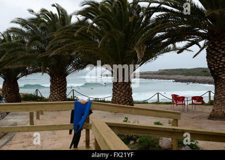 Prai da Ingrina -palme sulla spiaggia sull'Algarve , Portogallo Foto Stock