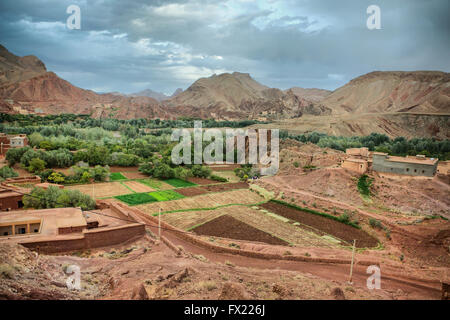 Boulmane du Dades, gli agricoltori landa e piccolo villaggio, Marocco Foto Stock