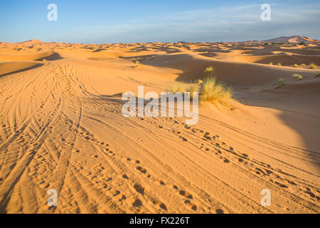 Diversi sand hill a Erg Chebbi nel deserto del Sahara. Egrs sono grandi dune formate dal vento soffiato sabbia. Il Marocco Foto Stock