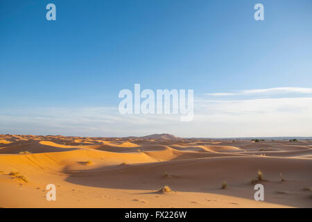 Diversi sand hill a Erg Chebbi nel deserto del Sahara. Ers sono grandi dune formate dal vento soffiato sabbia. Il Marocco Foto Stock