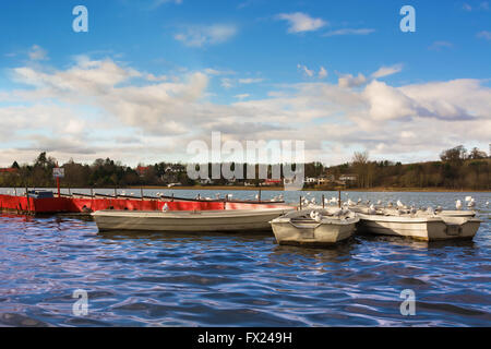 Barche a Linlithgow Loch in una giornata di sole Foto Stock