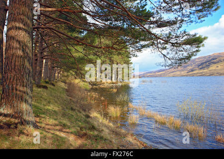 Loch Arklet nel Trossachs della Scozia Foto Stock