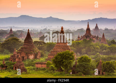 Bagan, Myanmar zona archeologica. Foto Stock