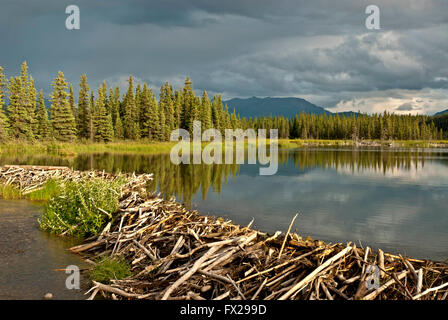 Beaver Dam e il lago, Alaska, Foto Stock