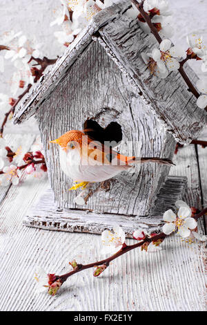 Symbolic bird at the birdhouse in the branches of a blossoming apricot Foto Stock