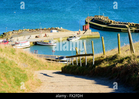 Kaseberga, Svezia - Aprile 1, 2016: La marina Visto dalle colline circostanti. Mare aperto in background. Barche ormeggiate dai p Foto Stock