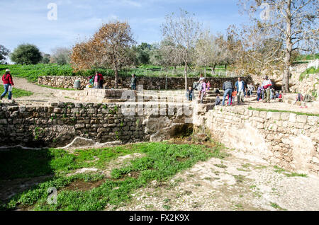 Horvat Aqav sito archeologico a Ramat Hanadiv è una natura parco e giardino che copre 4.5 km all'estremità meridionale del Monte Carmelo Foto Stock