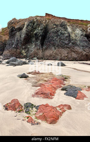 Rari affioramenti di roccia a serpentina sulla spiaggia di Kynance Cove sulla penisola di Lizard, Cornwall, Regno Unito Foto Stock