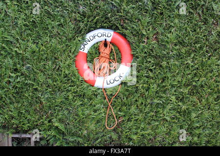 Cinghia di vita immerso nella boccola di bloccaggio Sandford sul Fiume Tamigi, Sandford, Oxfordshire, Regno Unito Foto Stock